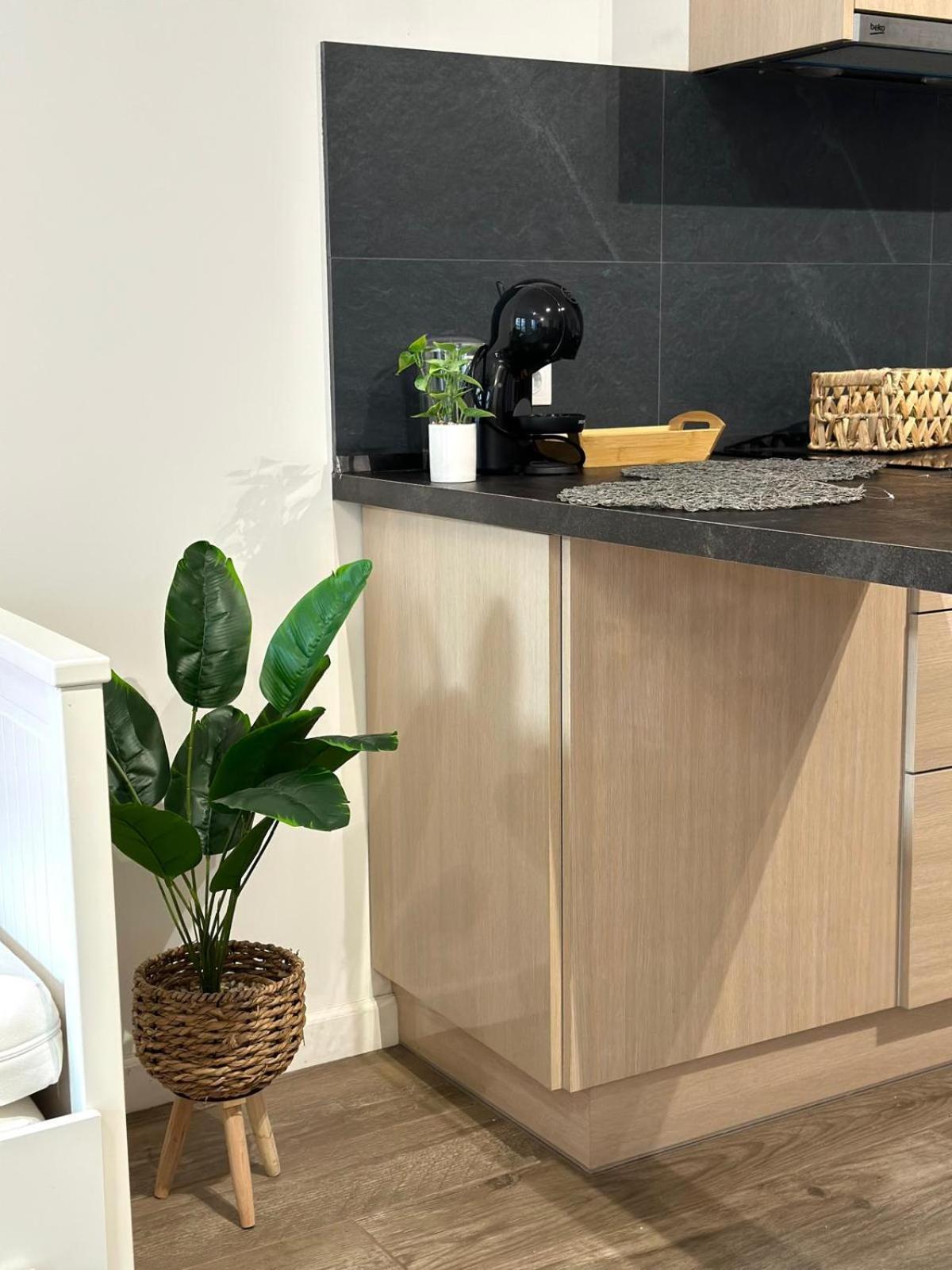 Central Park Apartment Cluj-Napoca Ngoại thất bức ảnh